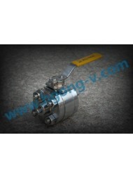 DIN/ANSI stainless steel 2500LB thread ball valve